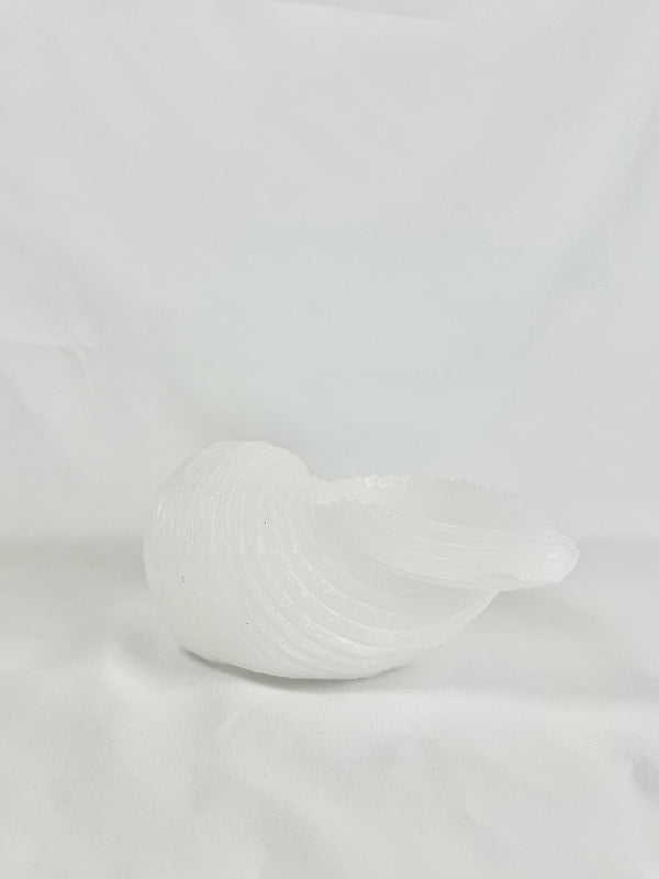Vela Caracola Blanca