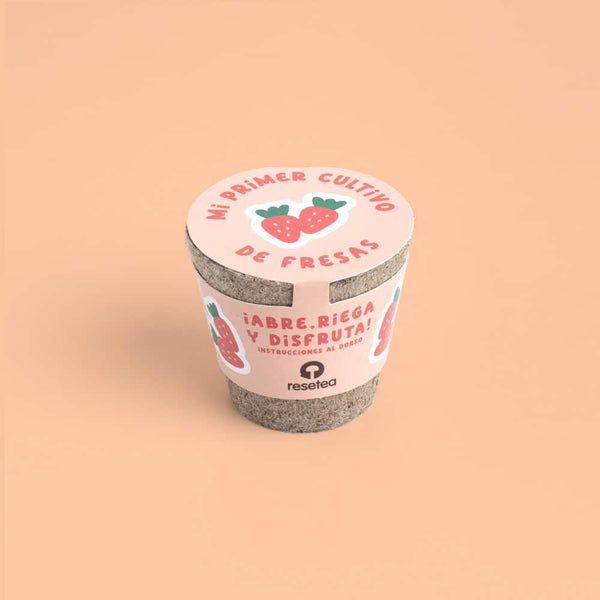 Mi Primer Cultivo de Fresas