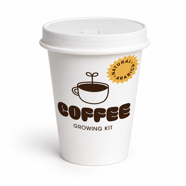 Kit de Cultivo de Café