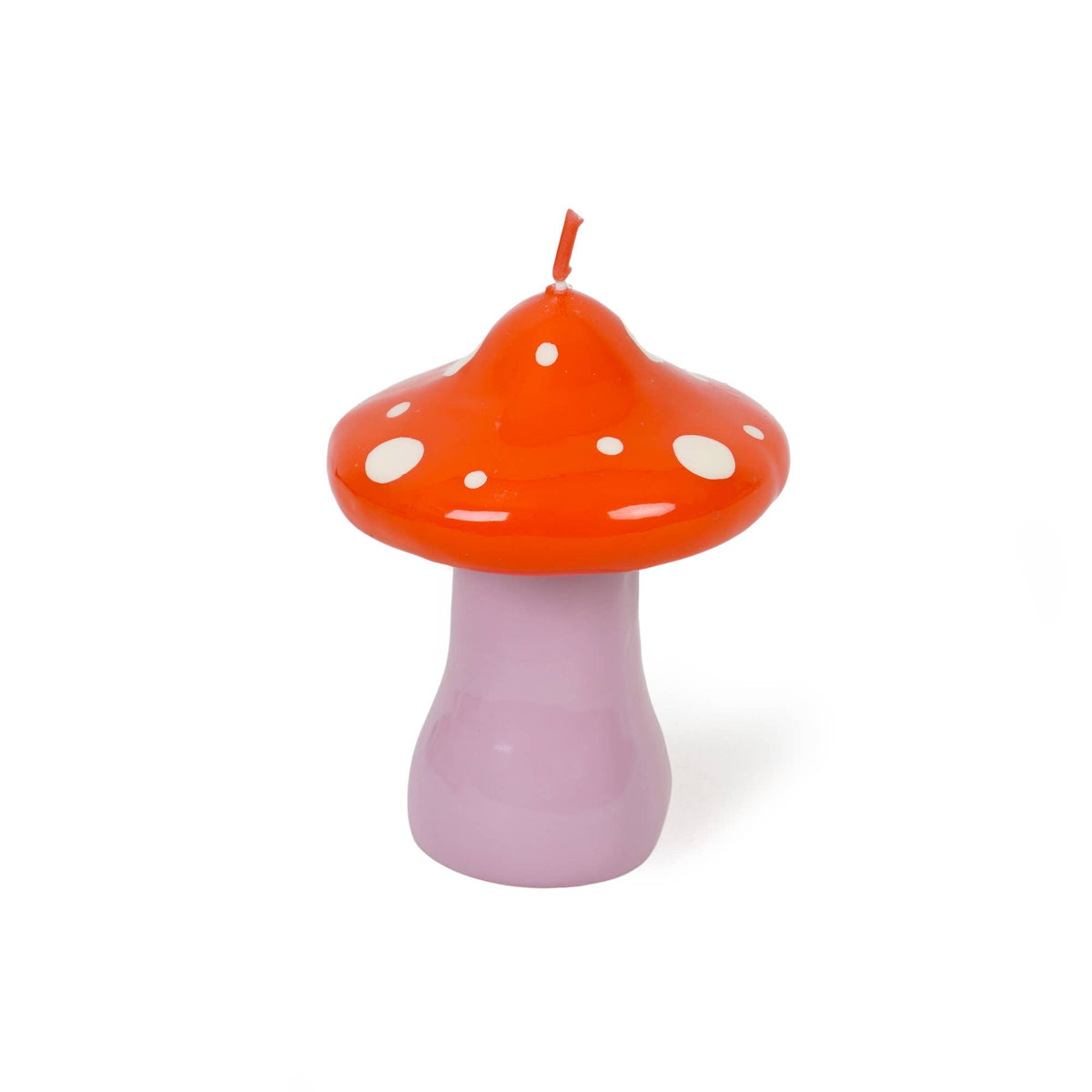Vela Seta Amanita muscaria Matamoscas Falsa oronja Morada Roja Grande