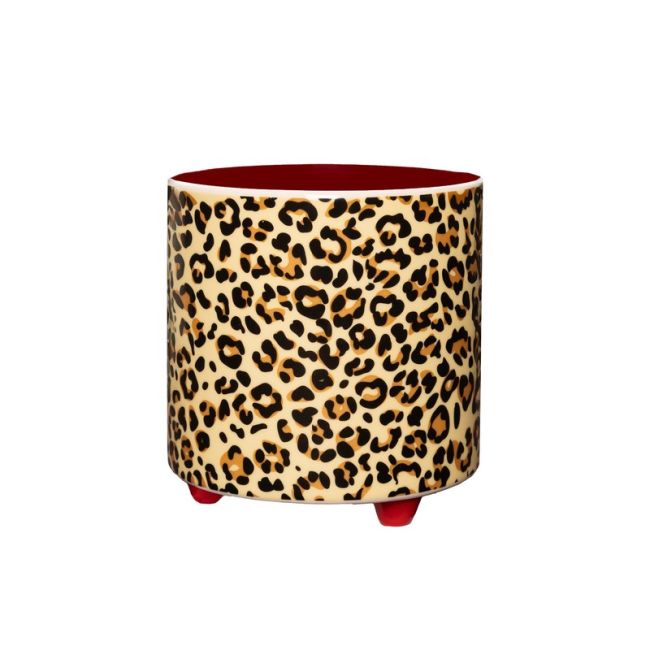 Maceta Macetero Leopardo