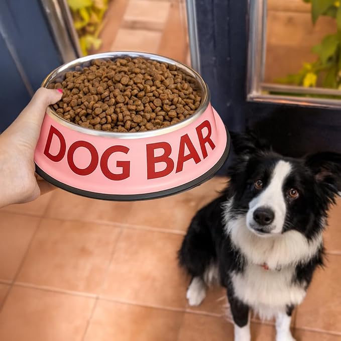 Cuenco Perro Dog Bar Grande Rojo y Rosa