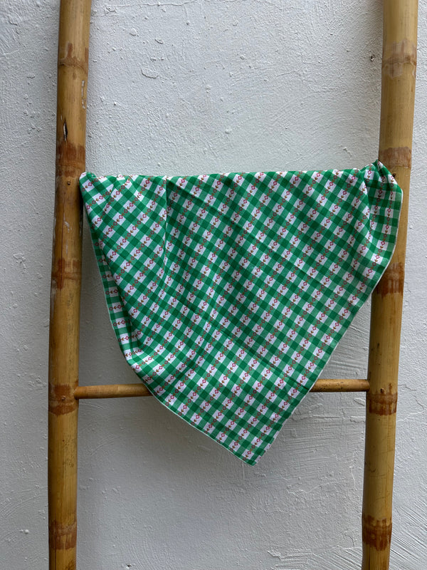 Pañuelo Vichy Verde con Flores Rojas