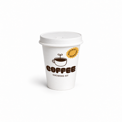 Kit de Cultivo de Café