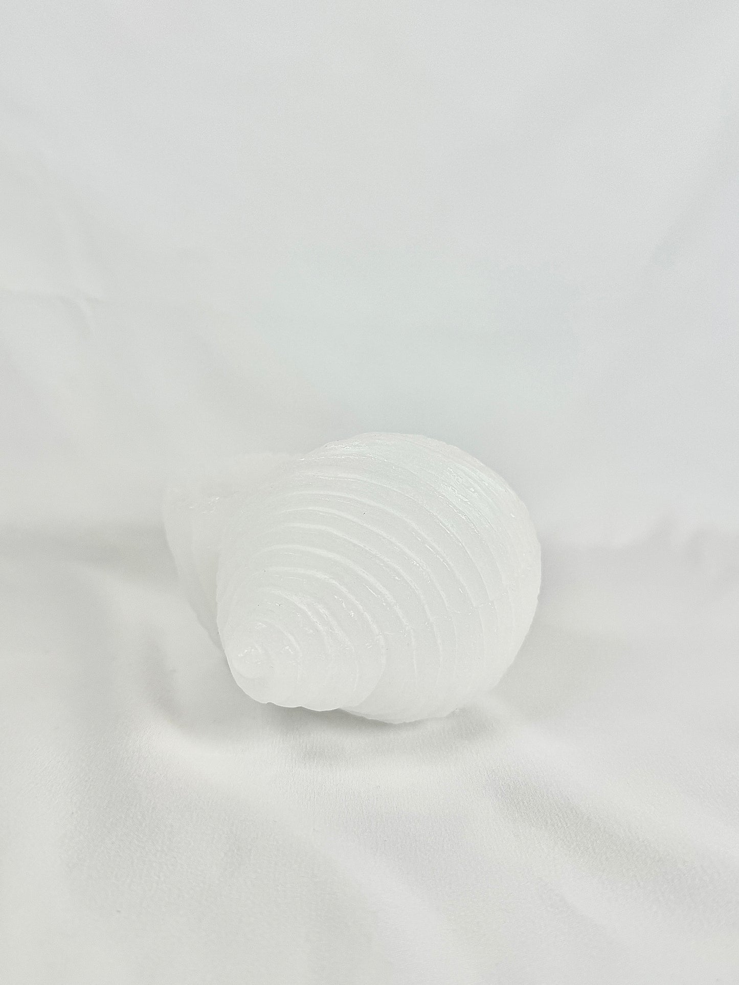 Vela Caracola Blanca