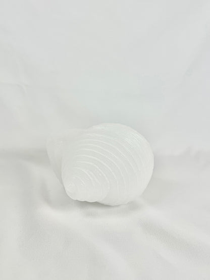 Vela Caracola Blanca