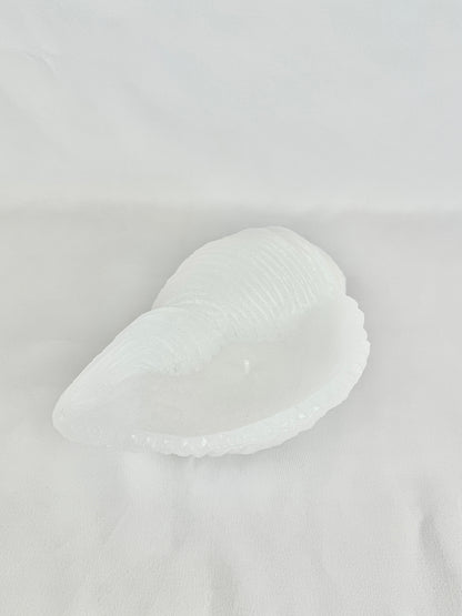 Vela Caracola Blanca