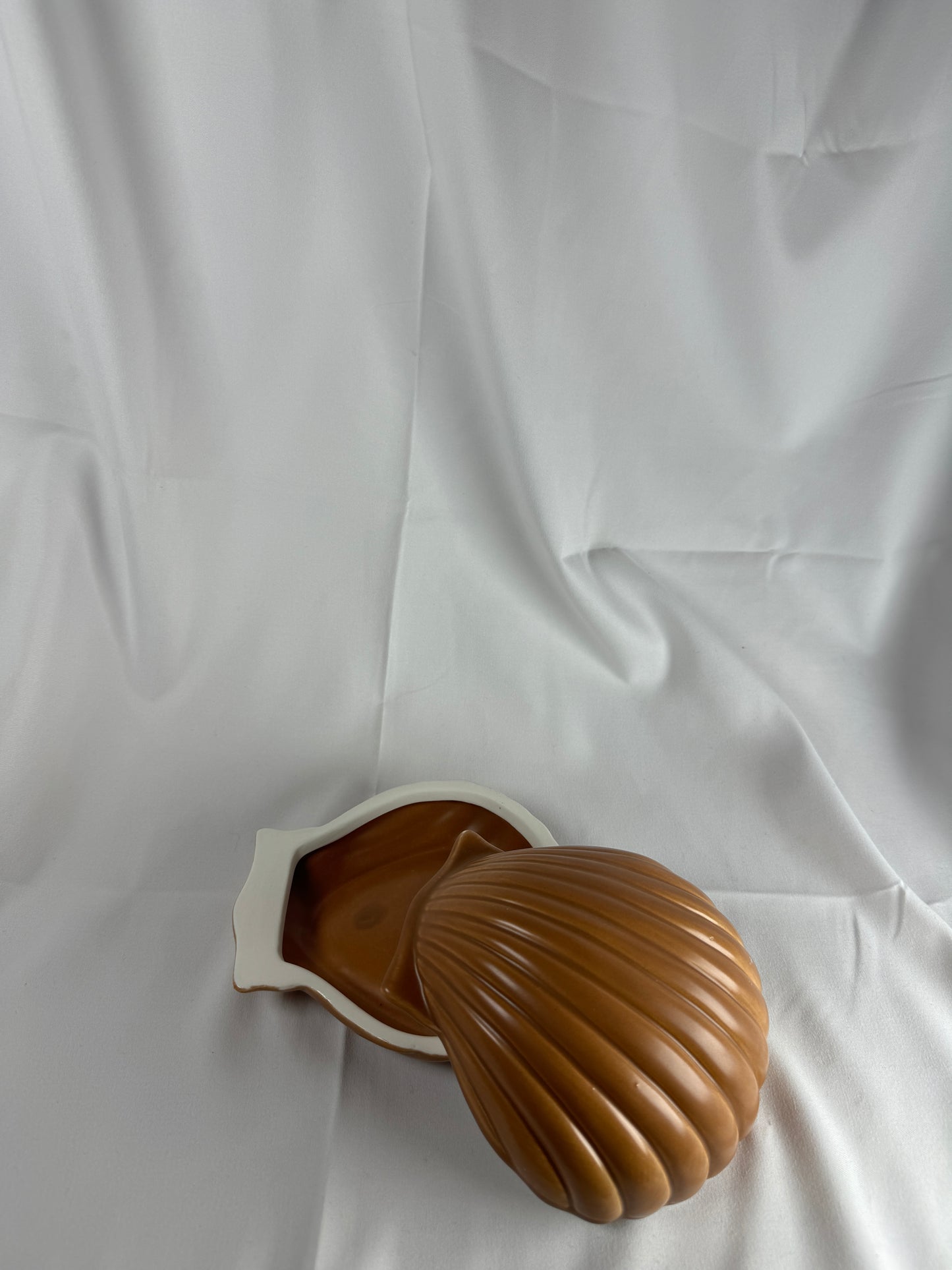 Joyero Caja con Tapa en forma de Concha Marrón