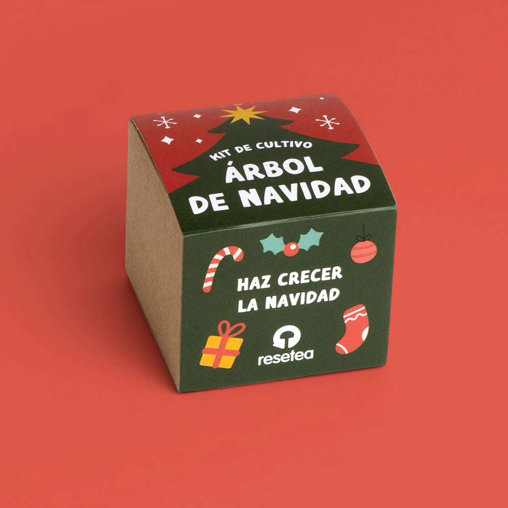 Christmas Tree Growing Kit