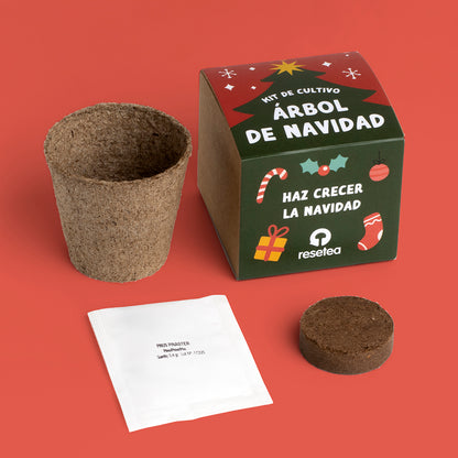 Christmas Tree Growing Kit