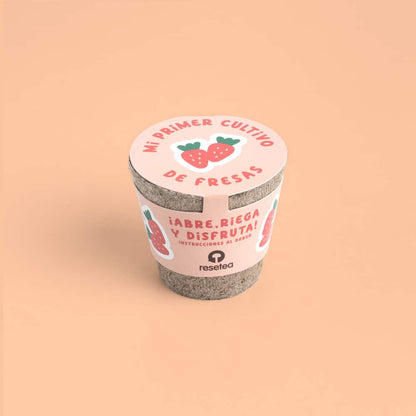 Mi Primer Cultivo de Fresas