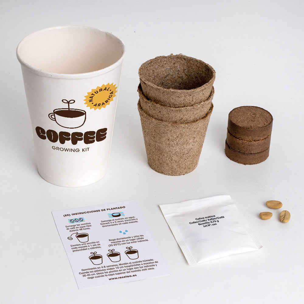 Kit de Cultivo de Café