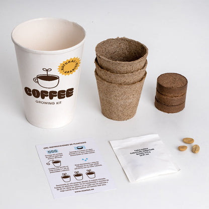 Kit de Cultivo de Café