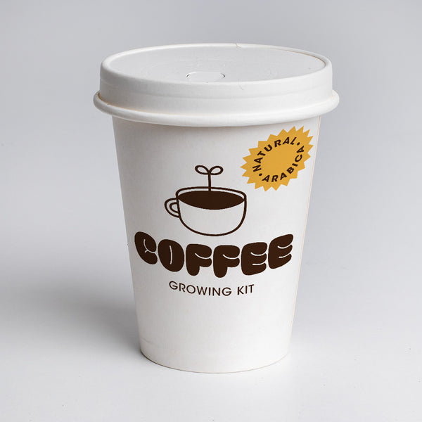Kit de Cultivo de Café