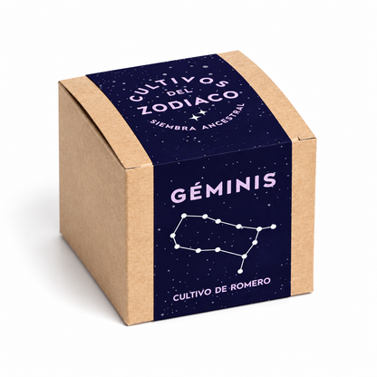 Cultivos del Zodiaco Géminis — foto de estudio
