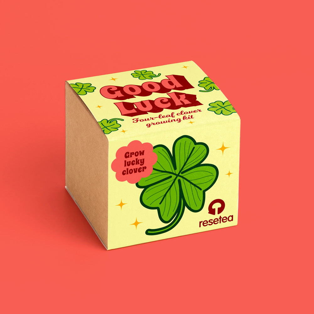 Good Luck, kit de cultivo de trébol de cuatro hojas